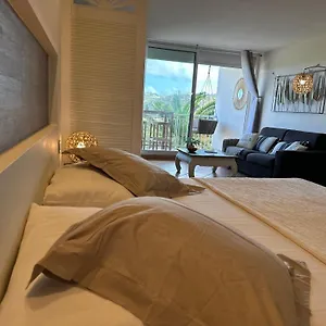 Apartment Reves De Tropiques - Grands Avec Piscine Vue Ocean Acces Direct, Cul de Sac